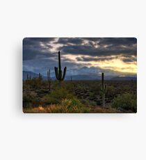 Where Heaven and Earth Meet Canvas Print