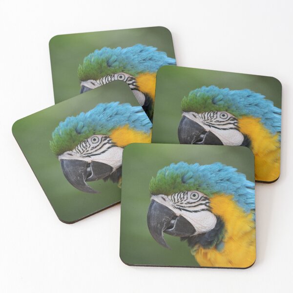 Item preview, Blue-and-yellow macaw designed and sold by MelKowasic.