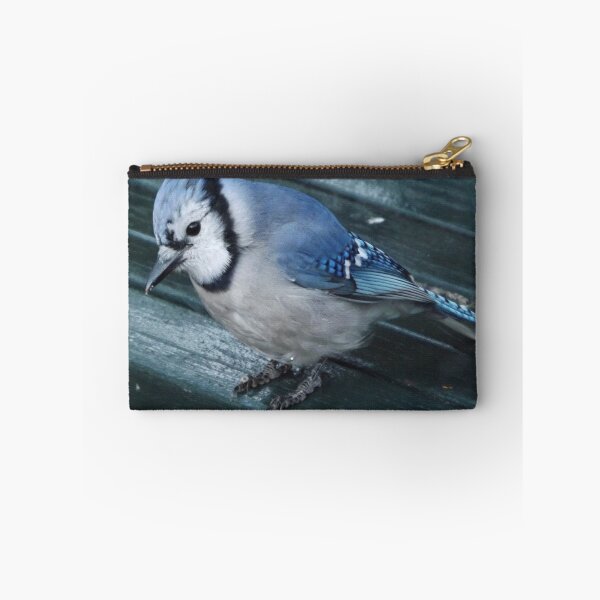 Item preview, Blue Jay Close-Up, Central Park, New York City designed and sold by lenspiro.