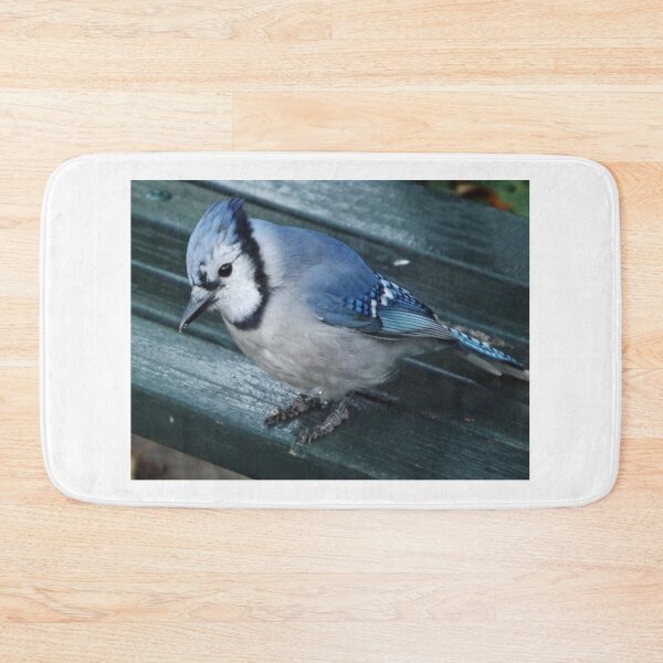 Item preview, Blue Jay Close-Up, Central Park, New York City designed and sold by lenspiro.