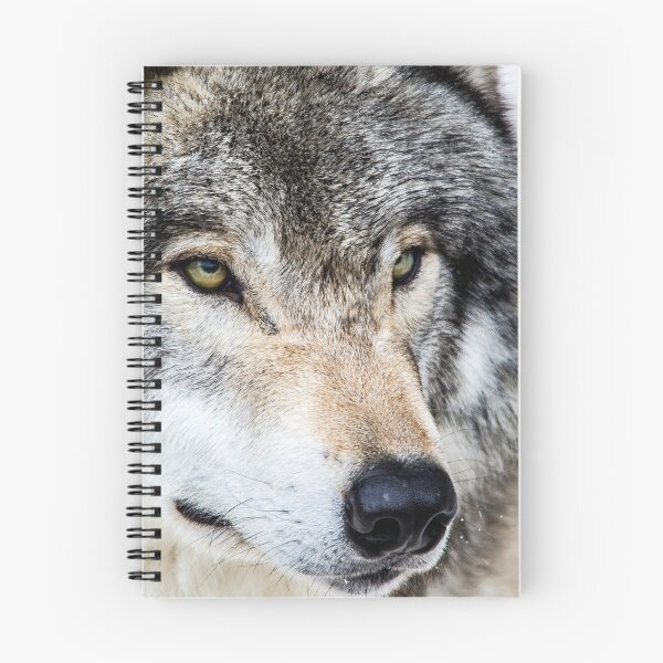 Item preview, GREY WOLF STARE designed and sold by KennyBImages899.