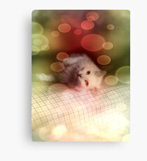 Infatuation Canvas Print