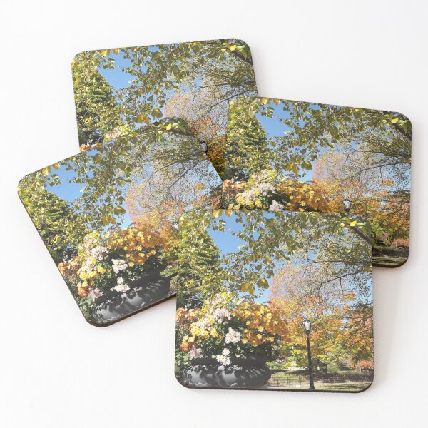 Item preview, Central Park Fall Colors, New York City designed and sold by lenspiro.