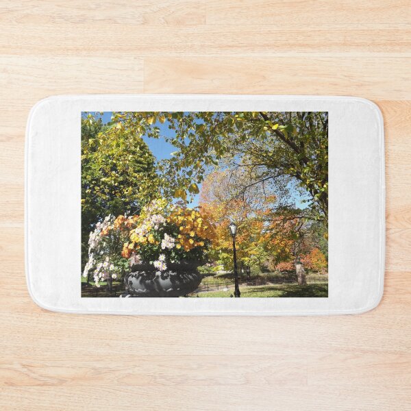 Item preview, Central Park Fall Colors, New York City designed and sold by lenspiro.