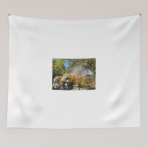 Item preview, Central Park Fall Colors, New York City designed and sold by lenspiro.