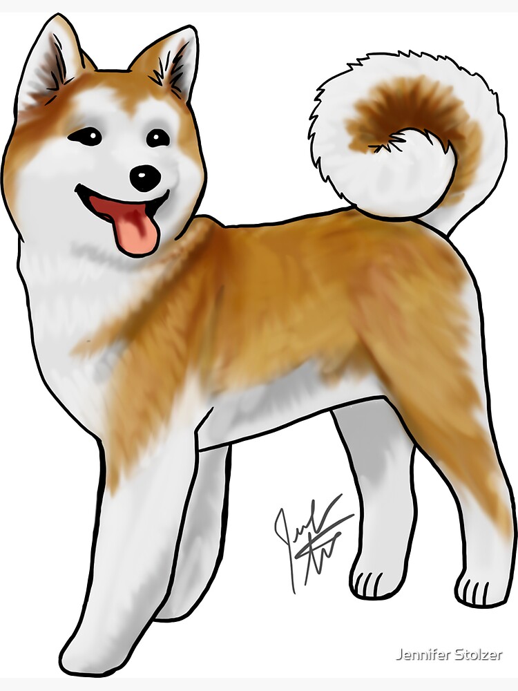 Akita by jameson9101322