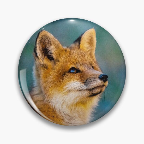 Item preview, RED FOX KIT designed and sold by KennyBImages899.