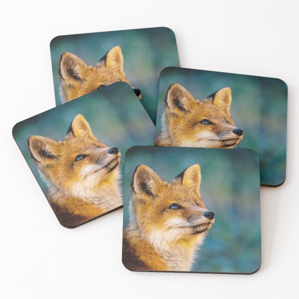 Item preview, RED FOX KIT designed and sold by KennyBImages899.
