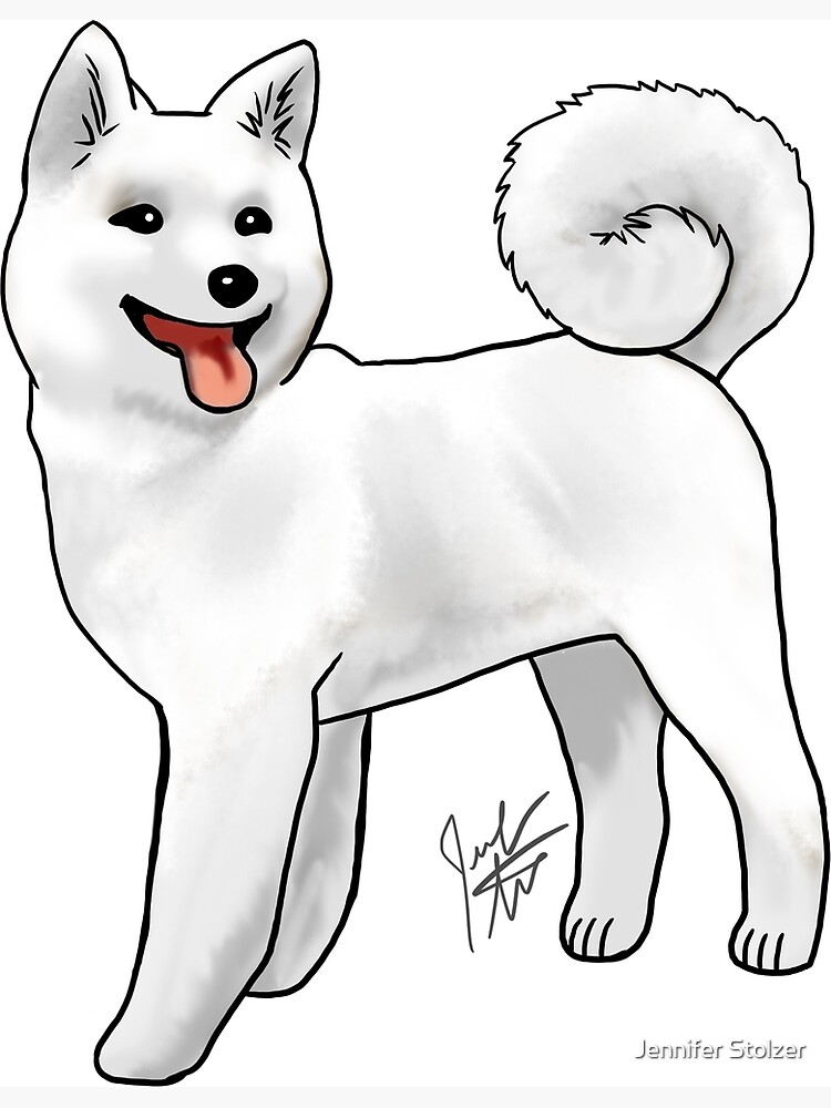 Akita - White by jameson9101322