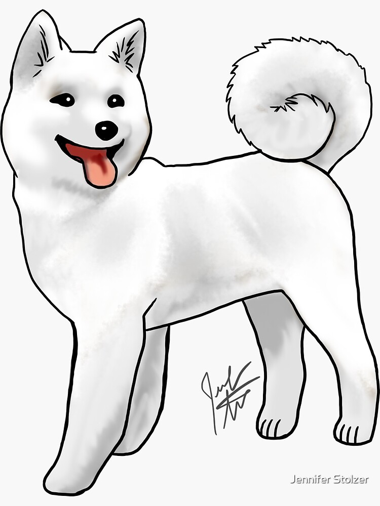 Akita - White by jameson9101322