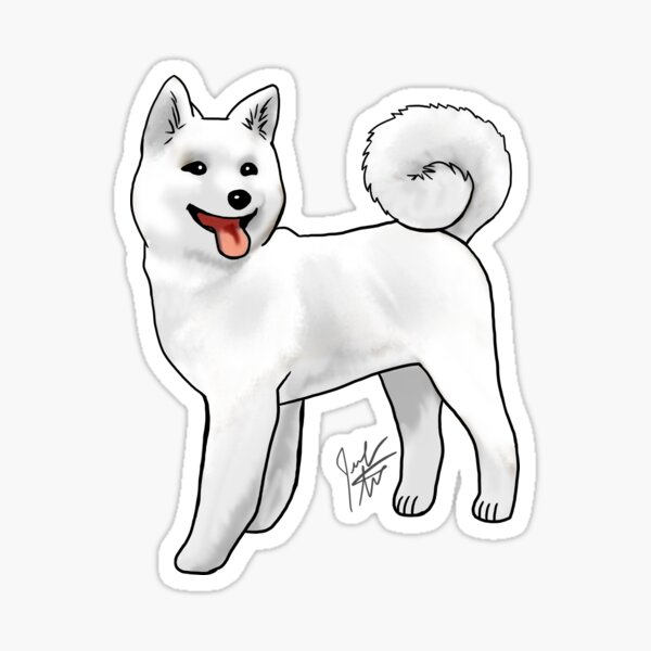 Akita - White Sticker