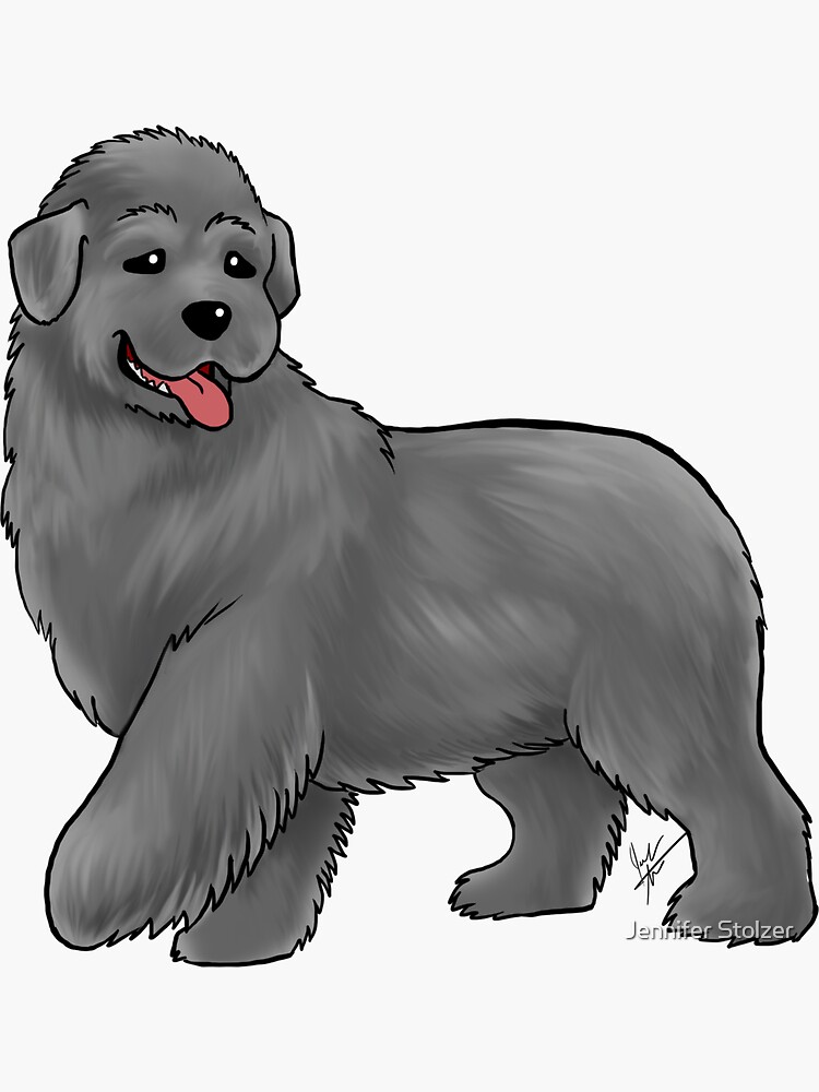 Newfoundland by jameson9101322