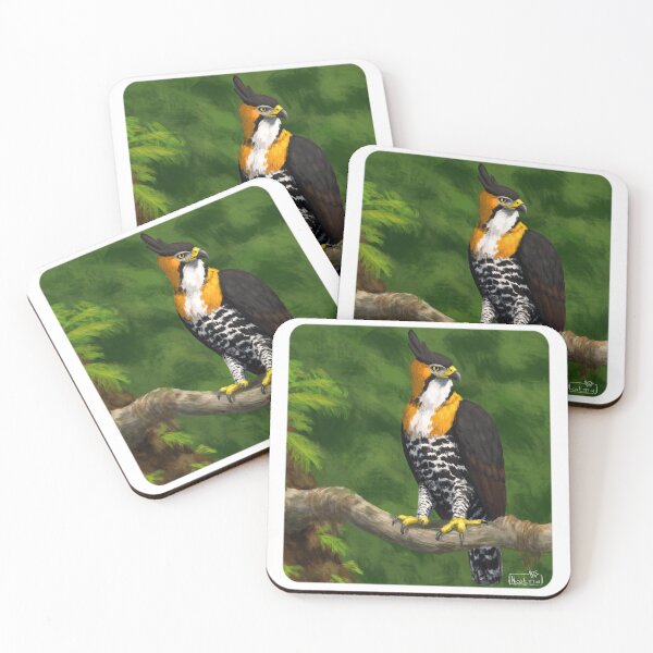 Item preview, Ornate Hawk-Eagle (Spizaetus ornatus) designed and sold by NicoEttlinArt.