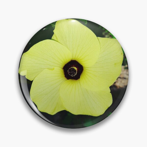 Item preview, Okra designed and sold by PlaidRat.