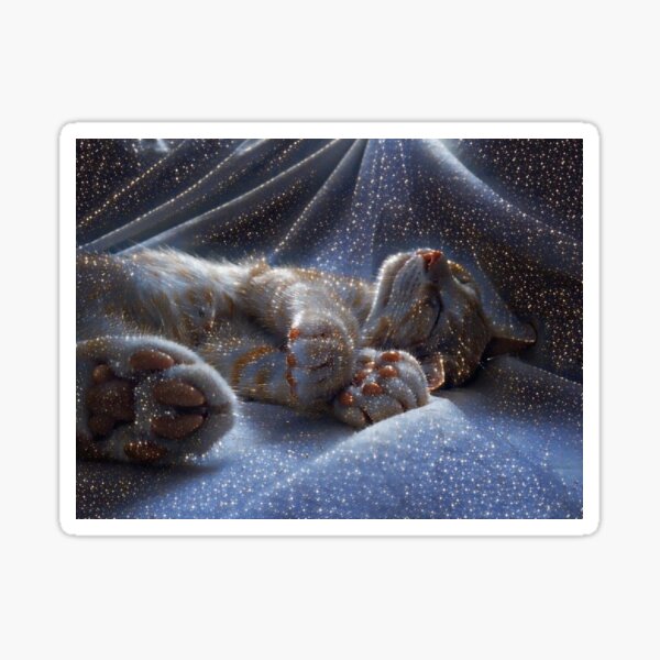 Starlight ginger kitten dreams Sticker
