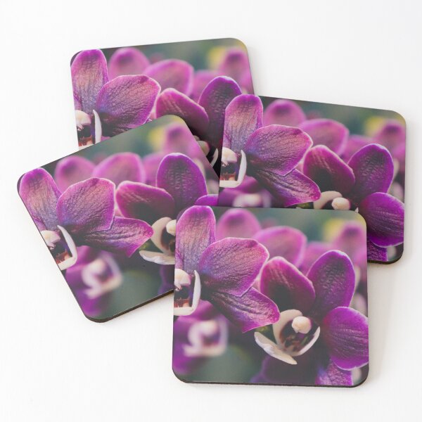 Artikelvorschau, Orchidee-schönes Kunst-Foto entworfen und verkauft von aprilbernphoto.