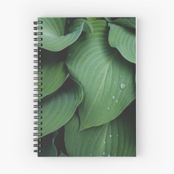 Item preview, Abstact Leaves Fine Art Photography designed and sold by aprilbernphoto.