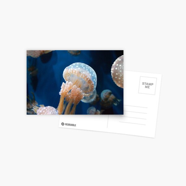 Item preview, Jellyfish Fine Art Photography designed and sold by aprilbernphoto.