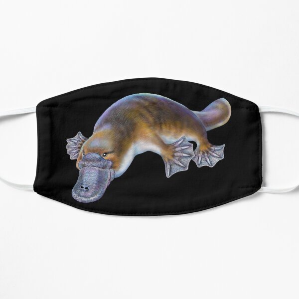 platypus face mask