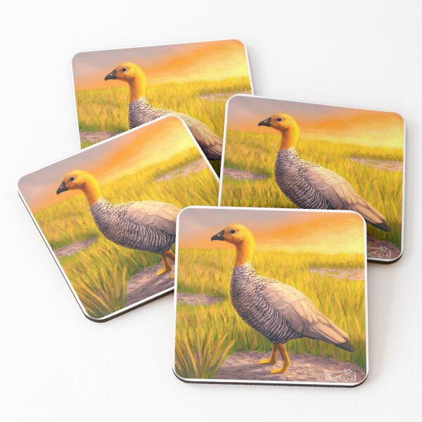 Item preview, Ruddy-headed Goose (Chloephaga rubidiceps) designed and sold by NicoEttlinArt.