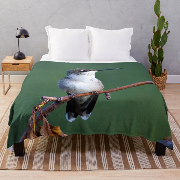 Item preview, Female Ruby-throated Hummingbird (Archilochus colubris) designed and sold by Yannik Hay.