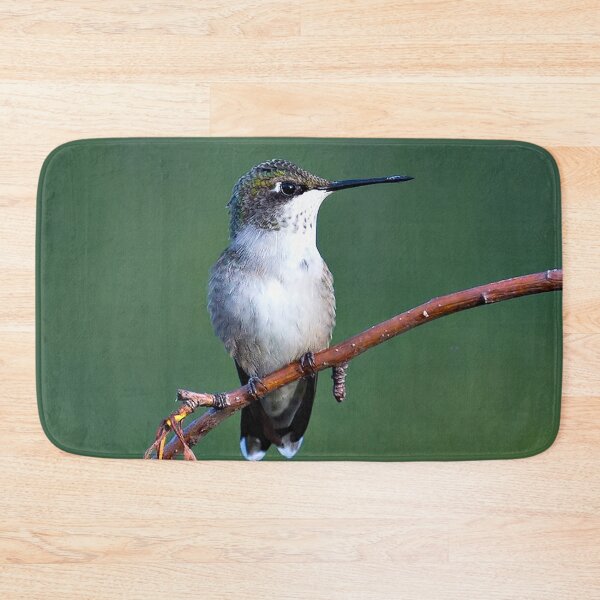 Item preview, Female Ruby-throated Hummingbird (Archilochus colubris) designed and sold by Yannik Hay.