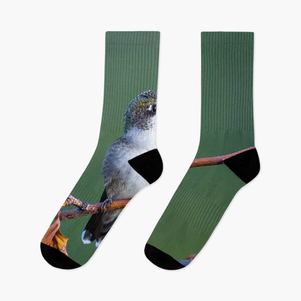 Item preview, Female Ruby-throated Hummingbird (Archilochus colubris) designed and sold by Yannik Hay.