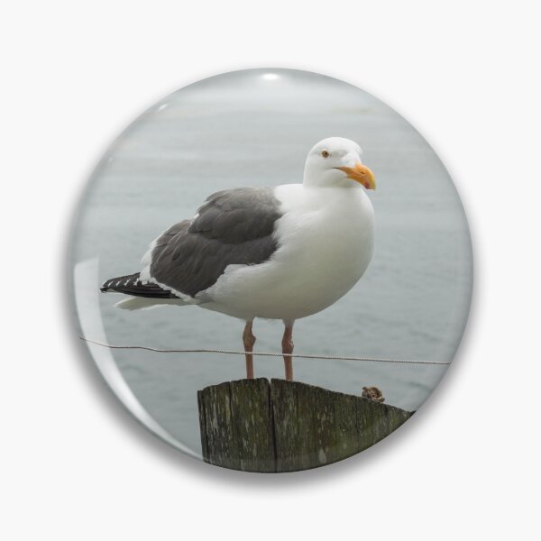 Item preview, Seagull by the Sea designed and sold by irenececilia.