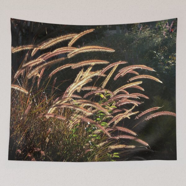 Item preview, Sunset on the grass from A Gardener's Notebook designed and sold by Douglas E. Welch Design and Photography.