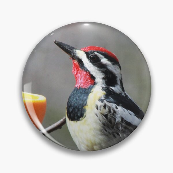 Item preview, Yellow Bellied Sapsucker  designed and sold by maxinemwhite.