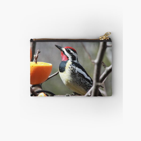 Item preview, Yellow Bellied Sapsucker  designed and sold by maxinemwhite.