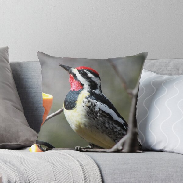 Item preview, Yellow Bellied Sapsucker  designed and sold by maxinemwhite.
