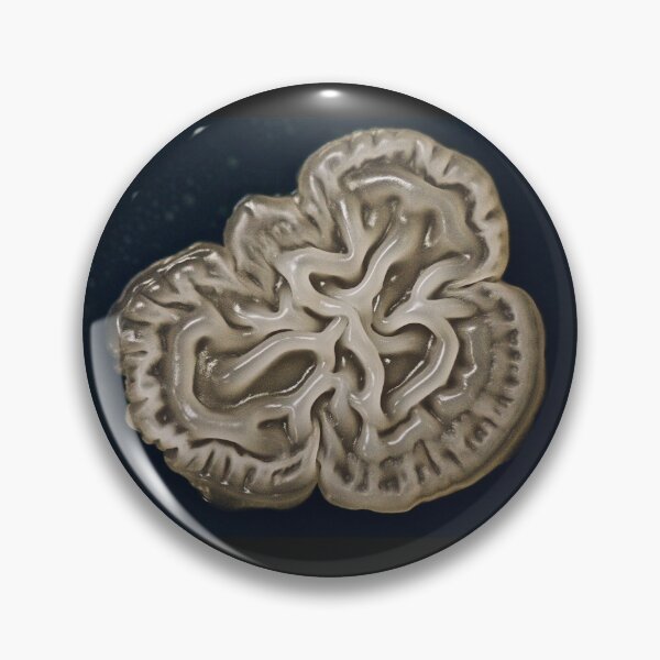 Item preview, Texture designed and sold by tasturm1.