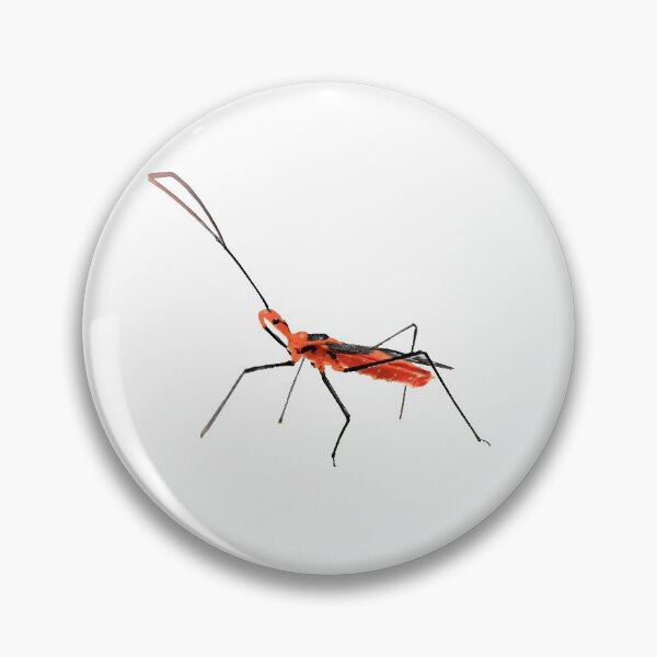 Item preview, Walking Assassin Bug Wheel Bug With Dagger Macro Close-up designed and sold by KateLCardsNMore.
