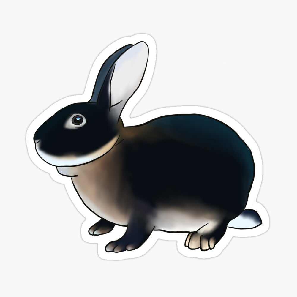 Otter 2024 rex rabbit