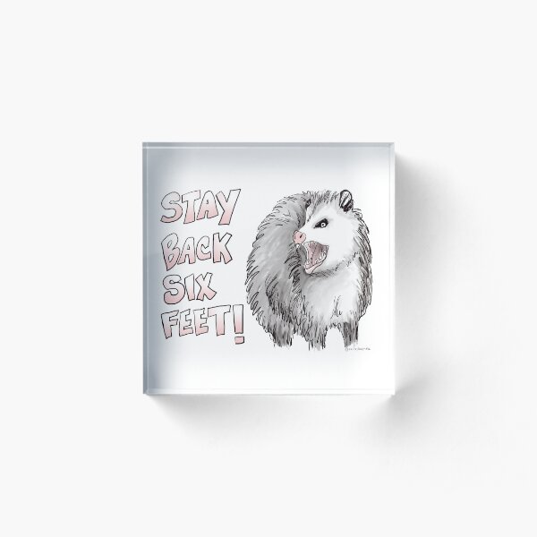 Social Distancing Opossum Possum Acrylic Block