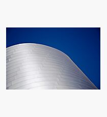 Disney Silver Photographic Print