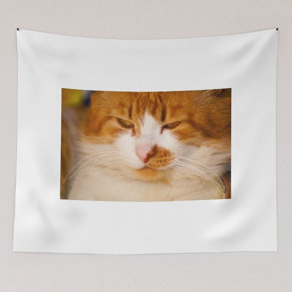 Item preview, kli attitude kity designed and sold by pcfyi.