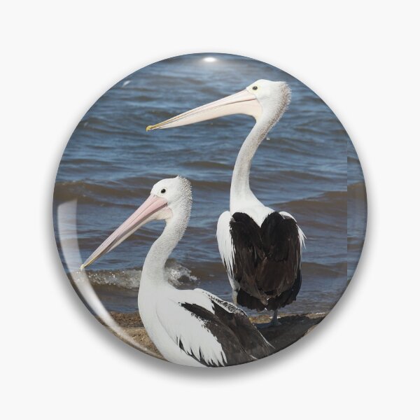 Item preview, Australian Pelicans designed and sold by Carole-Anne.