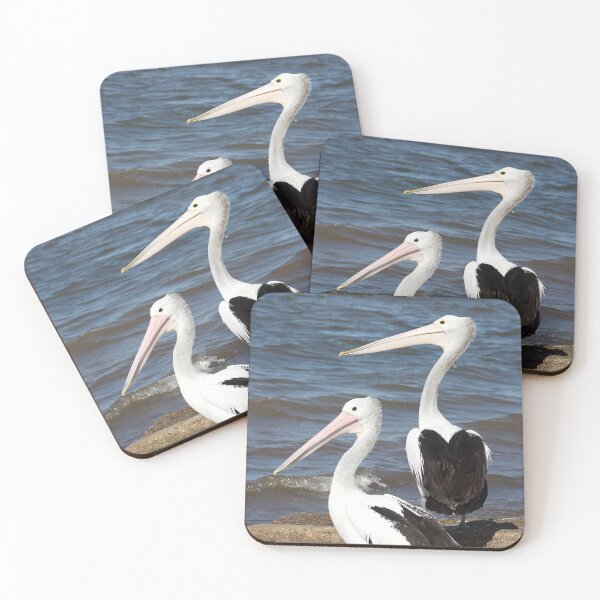Item preview, Australian Pelicans designed and sold by Carole-Anne.