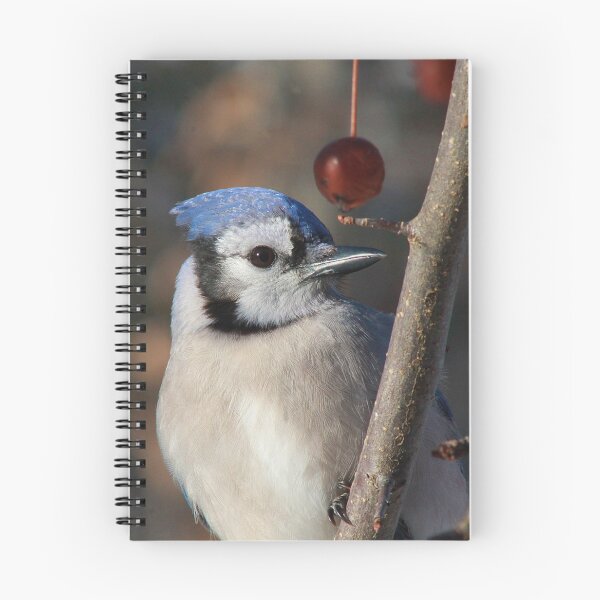 Artikelvorschau, Bluejay entworfen und verkauft von maxinemwhite.