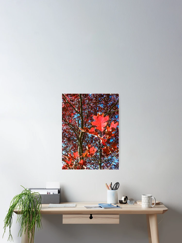 Thumbnail 2 of 3, Poster, Autumn designed and sold by dropsofjupiter.