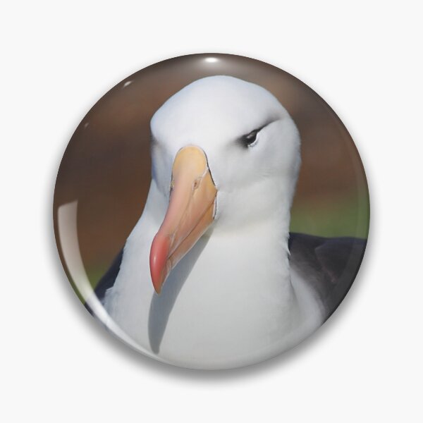 Item preview, Black-browed Albatross Nesting designed and sold by Carole-Anne.