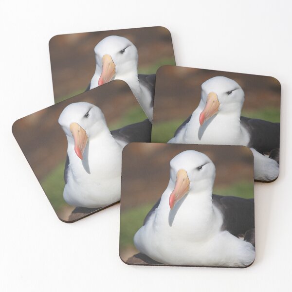 Item preview, Black-browed Albatross Nesting designed and sold by Carole-Anne.