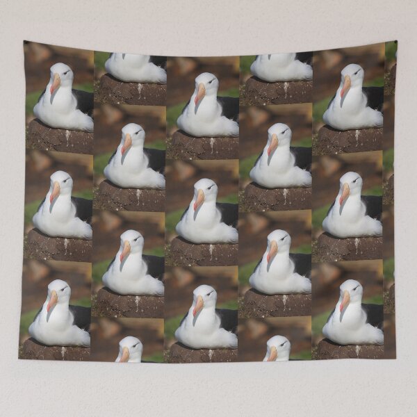 Item preview, Black-browed Albatross Nesting designed and sold by Carole-Anne.