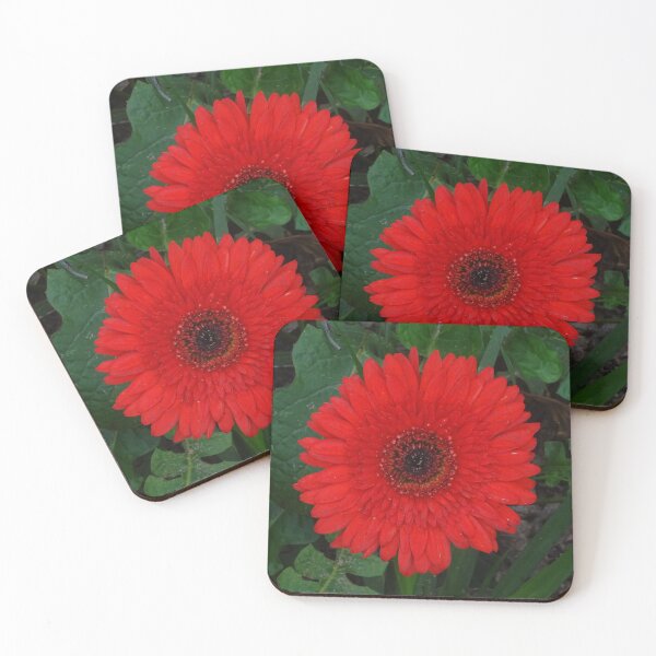 Item preview, RED WARMTH for your heart designed and sold by scholara.