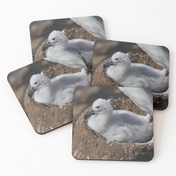 Item preview, Black-browed Albatross Chick designed and sold by Carole-Anne.