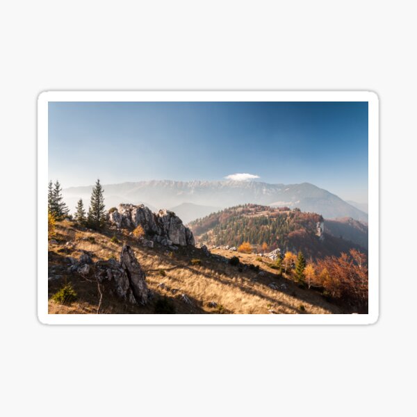 Follow me Sticker