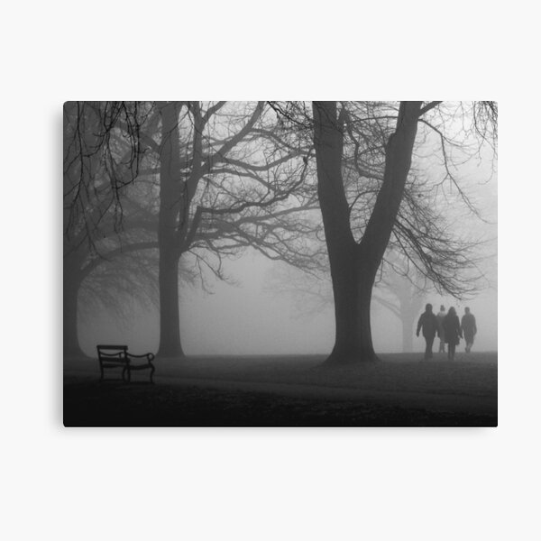 Misty Morning in the Park Leinwanddruck