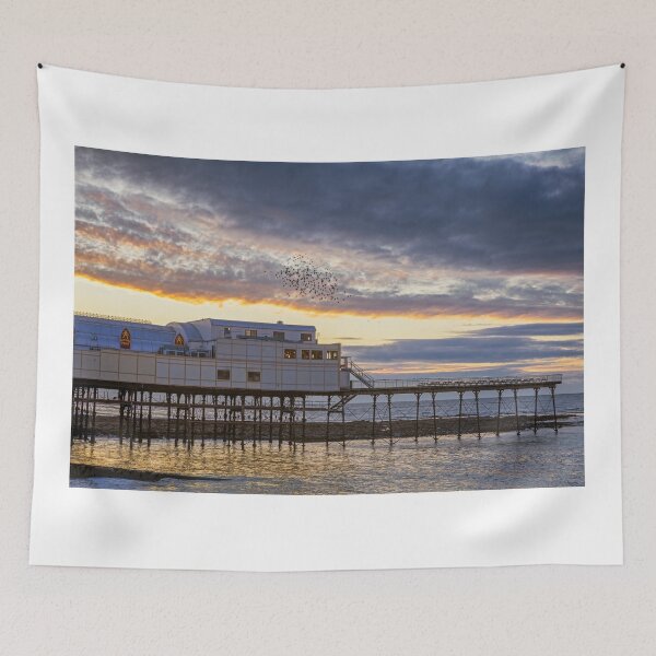 Item preview, Royal Pier Murmuration, Aberystwyth, Ceredigion designed and sold by Dan Santillo.